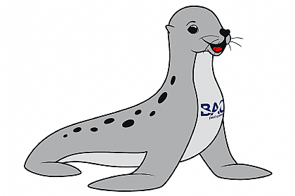 Bieri Alpha Cover bei K.Schneeberger in OÖ