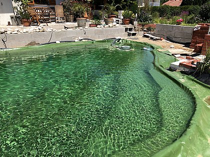 Skimmer im Schwimmteich