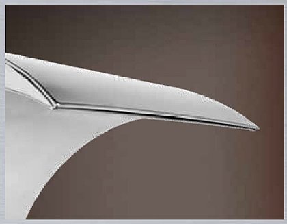 Schwalldusche Phoenix