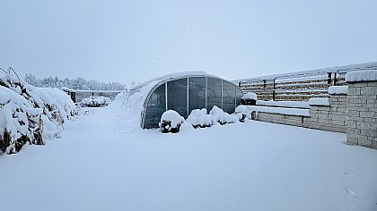 Klar Glas Überdachung Laguna im Winter