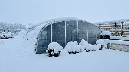 Überdachung Laguna im Winter