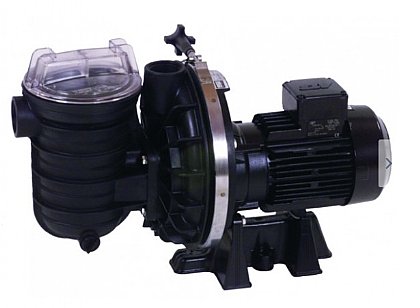Strite-Schwimmbadpumpe 240 V