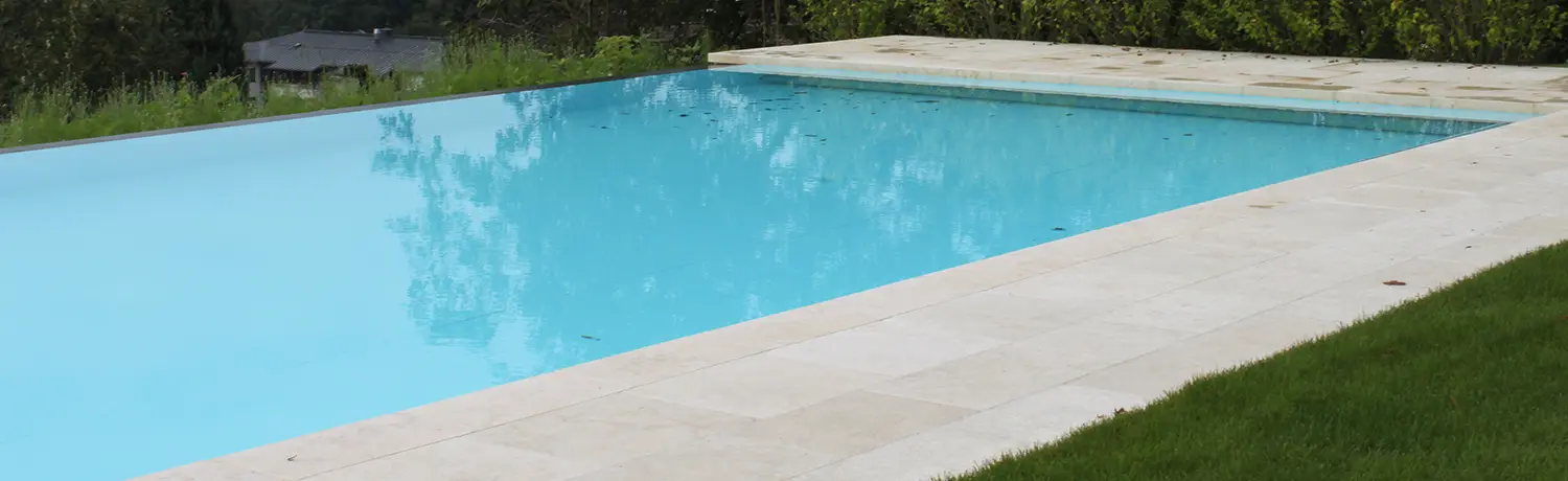 Moderner Pool randlos mit Aussicht ins Grüne